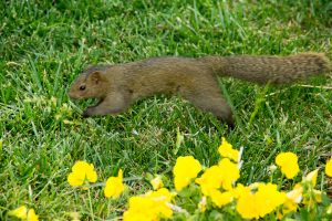 Ed - DSC05941
