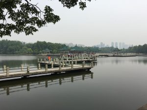 IMG_4959