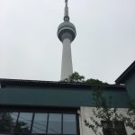 IMG_4972