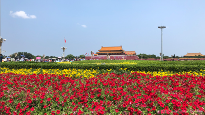 青空のもと、赤や黄色の花が咲く天安門広場