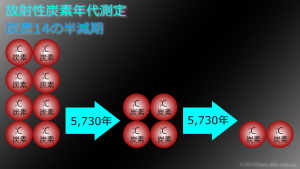 炭素14の半減期を説明したイラスト。